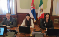 25 March 2021  MPs Bojan Torbica, Ana Karadzic and Tijana Davidovac in virtual meeting with the Head of the Mexican Congress Friendship Group with Serbia Mirta Villavaso